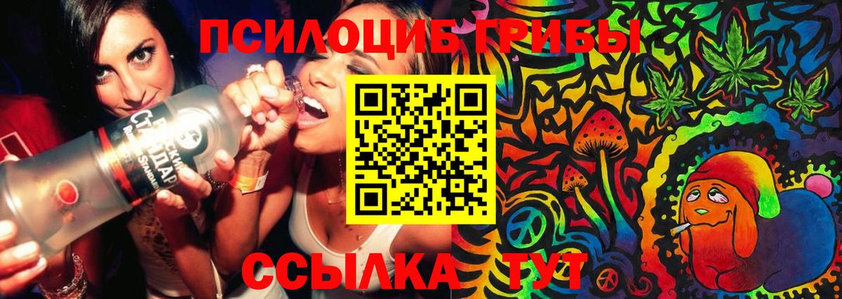 Псилоцибиновые грибы MAGIC MUSHROOMS  Вход с VPN  Красноуфимск 